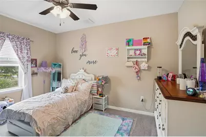 33564 Willow Point Court, Wesley Chapel, FL 33545 - Photo 51