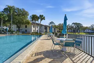 2666 Pine Ridge Way N, Palm Harbor, FL 34684 - Photo 55