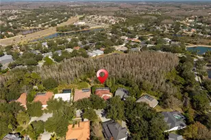 10239 Garden Alcove Dr, Tampa, FL 33647 - Photo 63