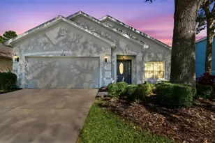 5956 Desert Peace Ave, Land O Lakes, FL 34639 - Photo 1