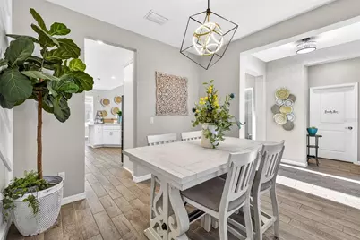 33805 Astoria Circle, Wesley Chapel, FL 33545 - Photo 11