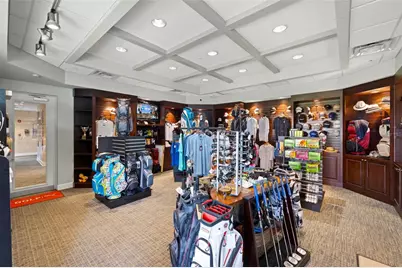 10545 Collar Drive, San Antonio, FL 33576 - Photo 51