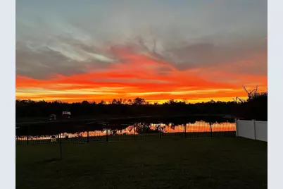 9225 Seeger Lane, Land O Lakes, FL 34638 - Photo 3