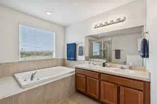 9225 Seeger Ln, Land O Lakes, FL 34638 - Photo 61