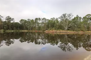 2803 Lotus Flower Trl, Wesley Chapel, FL 33543 - Photo 3