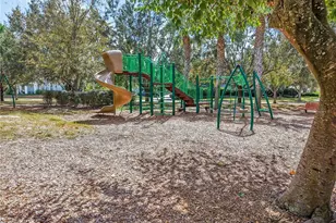 15604 Starling Crossing Dr, Lithia, FL 33547 - Photo 27