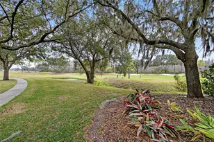 5529 Terrain De Golf Dr, Lutz, FL 33558 - Photo 67