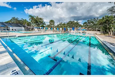 1462 Woodstream Drive, Oldsmar, FL 34677 - Photo 39