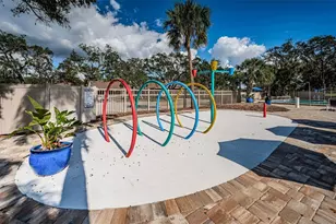 1462 Woodstream Dr, Oldsmar, FL 34677 - Photo 39