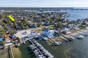 236 North St, Palm Harbor, FL 34683 - Photo 53