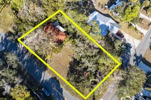 236 North St, Palm Harbor, FL 34683 - Photo 17