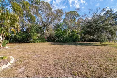 236 North Street, Palm Harbor, FL 34683 - Photo 59