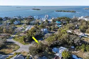 236 North St, Palm Harbor, FL 34683 - Photo 45