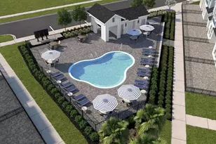 3379 Yellow Cassia Dr, Wesley Chapel, FL 33543 - Photo 5