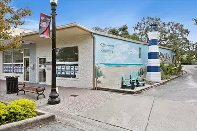 902 Beltrees Street, Dunedin, FL 34698 - Photo 53