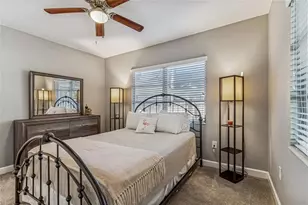 902 Beltrees St, Dunedin, FL 34698 - Photo 23