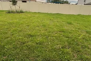 20854 Magnolia Crk Ln, Land O Lakes, FL 34638 - Photo 43