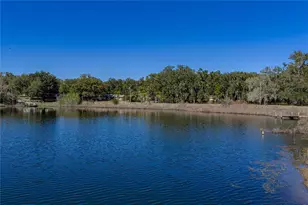 11045 Fort King Rd, Dade City, FL 33525 - Photo 59