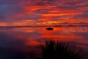 2700 Bayshore Blvd, Dunedin, FL 34698 - Photo 5