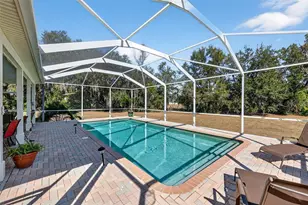 8027 Ehren Cutoff, Land O Lakes, FL 34639 - Photo 65