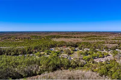 4405 Connery Court, Palm Harbor, FL 34685 - Photo 49