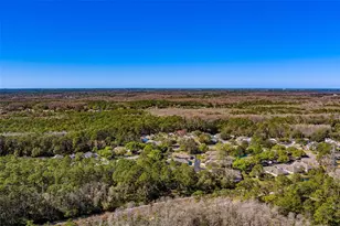 4405 Connery Ct, Palm Harbor, FL 34685 - Photo 49