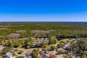 4405 Connery Ct, Palm Harbor, FL 34685 - Photo 51