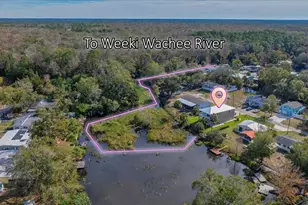 6435 Finance Ave, Weeki Wachee, FL 34607 - Photo 23