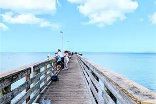 3147 Mela Ct, Holiday, FL 34691 - Photo 61