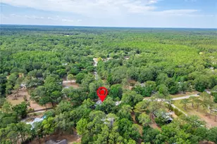 8518 Quail Hollow Blvd, Wesley Chapel, FL 33544 - Photo 55