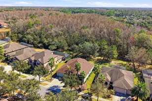 7907 Hampton Lake Dr, Tampa, FL 33647 - Photo 71