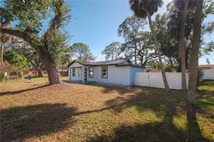 8508 Sunbeam Ln, Tampa, FL 33615 - Photo 33