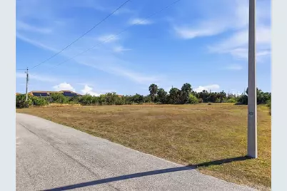Smilodon Trail, Ruskin, FL 33570 - Photo 3
