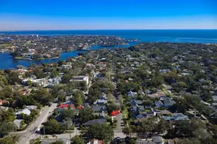 115 21st Ave NE, Saint Petersburg, FL 33704 - Photo 45