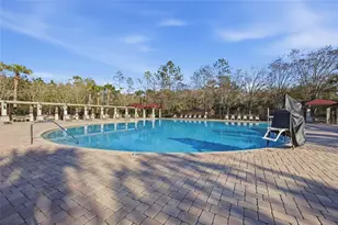 1145 Sleepy Oak Dr, Wesley Chapel, FL 33543 - Photo 29