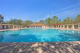 1145 Sleepy Oak Dr, Wesley Chapel, FL 33543 - Photo 31