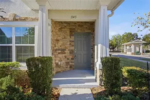 1145 Sleepy Oak Dr, Wesley Chapel, FL 33543 - Photo 1