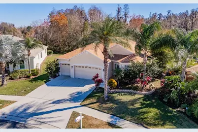 31230 Alchester Drive, Wesley Chapel, FL 33543 - Photo 3