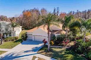 31230 Alchester Dr, Wesley Chapel, FL 33543 - Photo 3