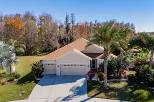 31230 Alchester Dr, Wesley Chapel, FL 33543 - Photo 1