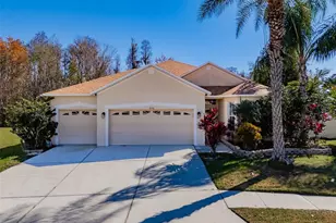 31230 Alchester Dr, Wesley Chapel, FL 33543 - Photo 5