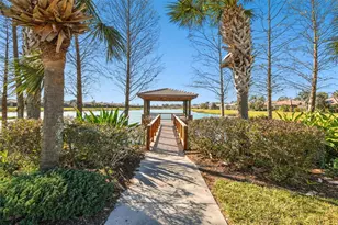 127 Silver Falls Dr, Apollo Beach, FL 33572 - Photo 53