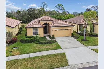 127 Silver Falls Drive, Apollo Beach, FL 33572 - Photo 47