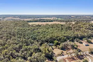 28200 Old Trilby Rd, Brooksville, FL 34602 - Photo 37