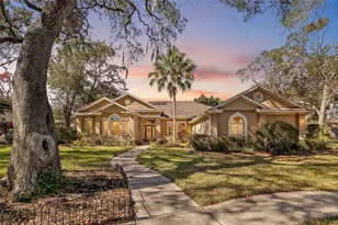 502 Little Eagle Ct, Valrico, FL 33594 - Photo 1