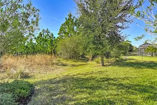 8613 Grand Alberato Rd, Tampa, FL 33647 - Photo 5