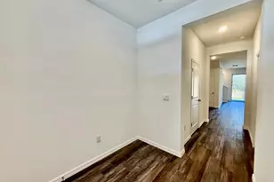 11374 Velvet Apricot Dr, Land O Lakes, FL 34638 - Photo 3