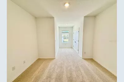 11374 Velvet Apricot Drive, Land O Lakes, FL 34638 - Photo 21