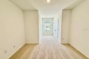 11374 Velvet Apricot Dr, Land O Lakes, FL 34638 - Photo 21