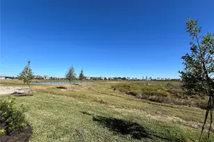 9160 Aurelia Ave, Parrish, FL 34219 - Photo 53